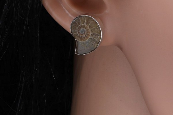 Ohrstecker 15-18mm in Silber 925, , Ammonit