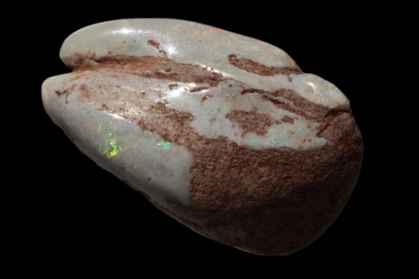 Langustenschere 25x41x14mm, fossiler Opal
