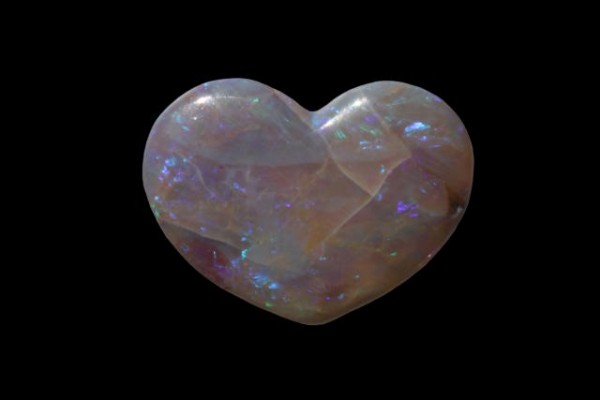 Herz 20x153mm, fossiler schwarzer Opal