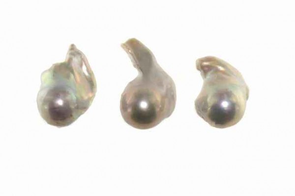 Irregular Perle ca. 16x24mm, Süßwasserzuchtperle weiß A