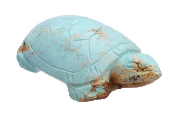 Schildkröte 20x25x13mm aus Türkis