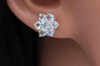 Vorschau: Blüten-Ohrstecker13mm mit je 7 facettierten Topasen in Silber 925 Vorschau: Blüten-Ohrstecker13mm mit je 7 facettierten Topasen in Silber 925