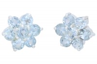 Vorschau: Blüten-Ohrstecker13mm mit je 7 facettierten Topasen in Silber 925 Vorschau: Blüten-Ohrstecker13mm mit je 7 facettierten Topasen in Silber 925
