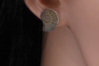 Vorschau: Ohrstecker 15-18mm in Silber 925, , Ammonit Vorschau: Ohrstecker 15-18mm in Silber 925, , Ammonit