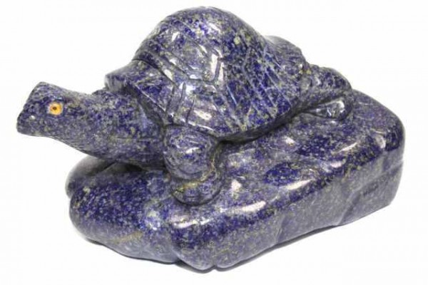 Schildkröten-Gravur 80x120mm (700g), Lapislazuli