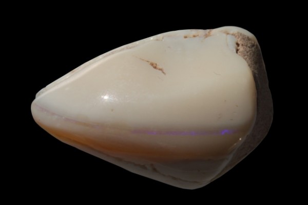 Muschel 30x41x21mm, fossiler Opal