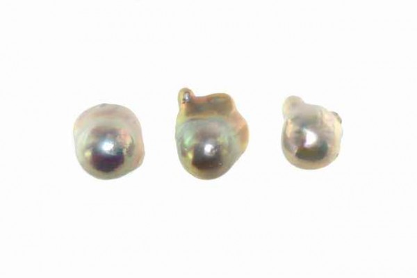 Irregular Perle ca. 15x20mm, Süßwasserzuchtperle weiß A