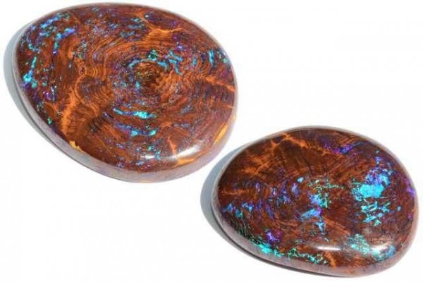 Cabochon aus opalisierendem Holz, Opal Australien