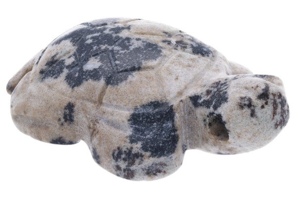 Schildkröte Anhänger 22x33x9mm mit Bohrung aus Aplit (Dalmatiner-Stein)