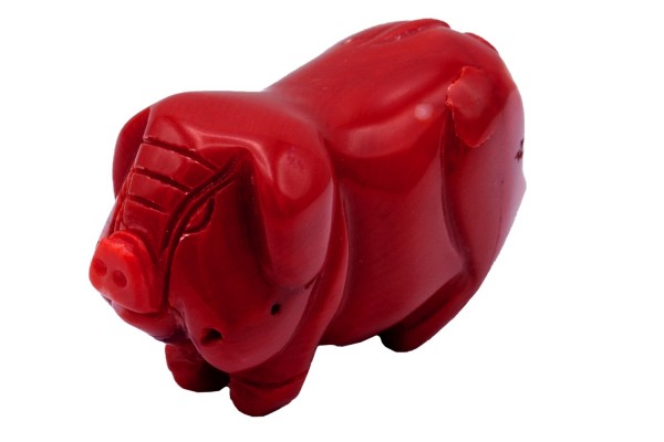 Schweine-Gravur 16x20x35mm aus rot gefärbter Koralle