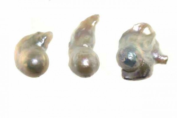 Irregular Perle ca. 17x28mm, Süßwasserzuchtperle weiß A