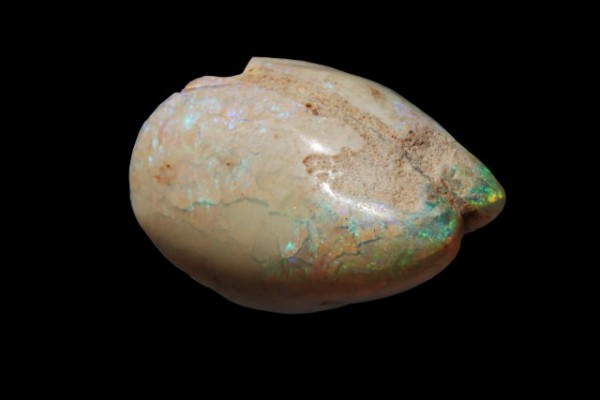 Langustenschere 21x27x18mm, fossiler Opal