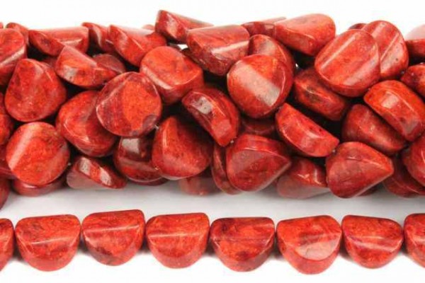 Discstrang gewölbt 18mm/40cm, Schaumkoralle