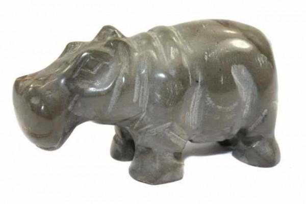 Hippo 50x30mm, Septarien