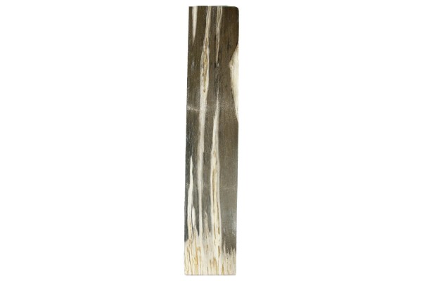 Platte 20,5x107x2cm rechteckig aus versteinertem Holz